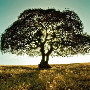 Gratitude2